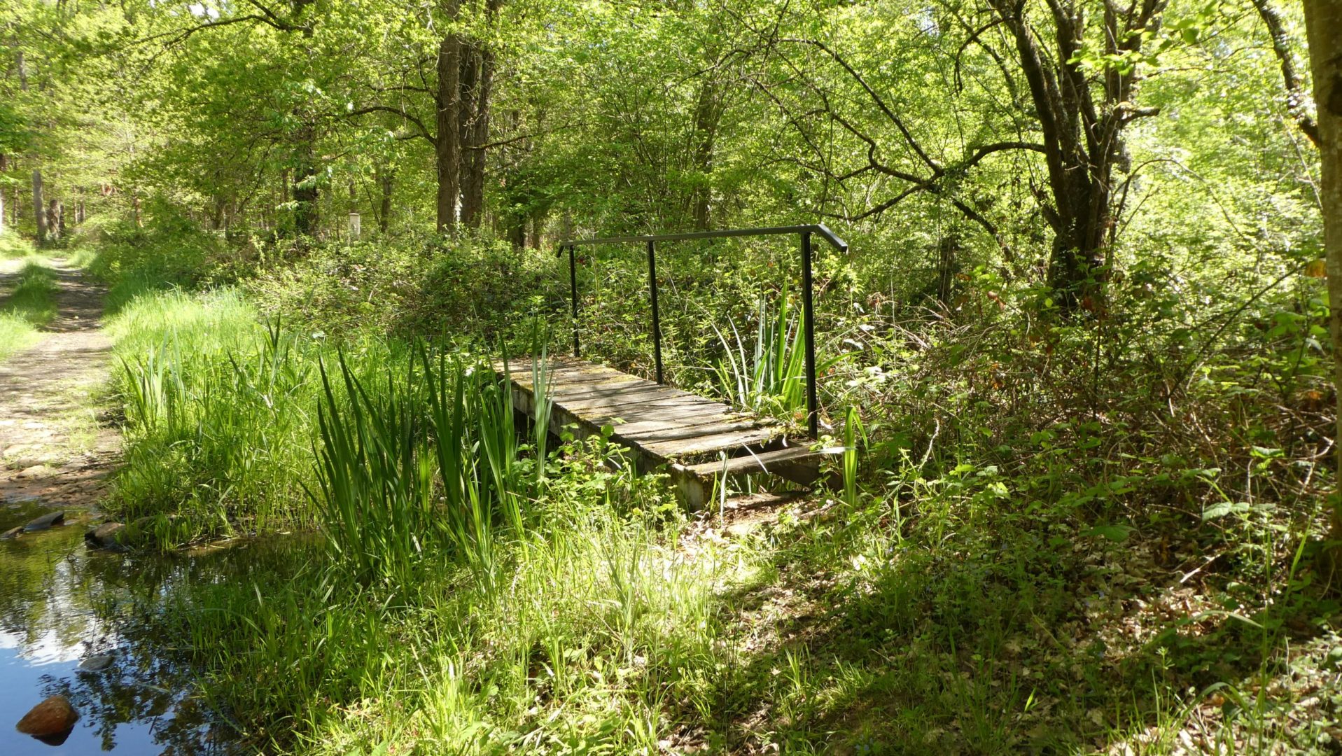 Rando_Saulzais_la_Loubière_009