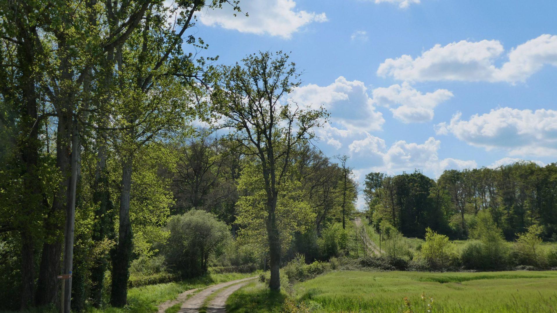 Rando_Saulzais_la_Loubière_022