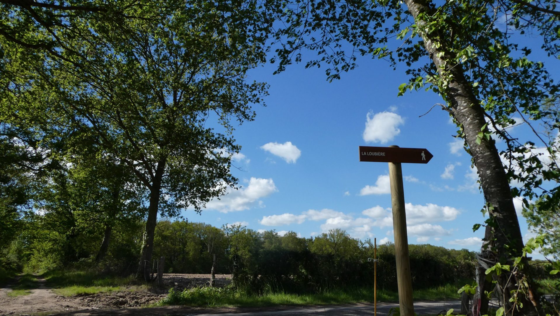 Rando_Saulzais_la_Loubière_023